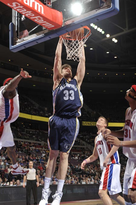 他们在本年 他们在本年