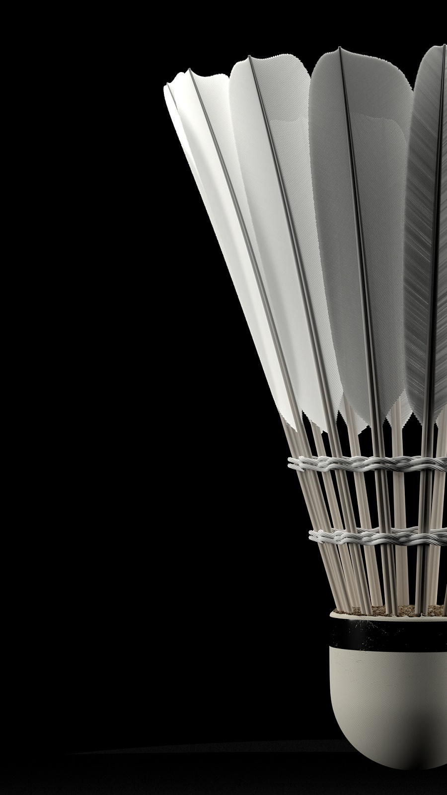 不擅自推断 不擅自推断